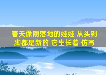 春天像刚落地的娃娃 从头到脚都是新的 它生长着 仿写